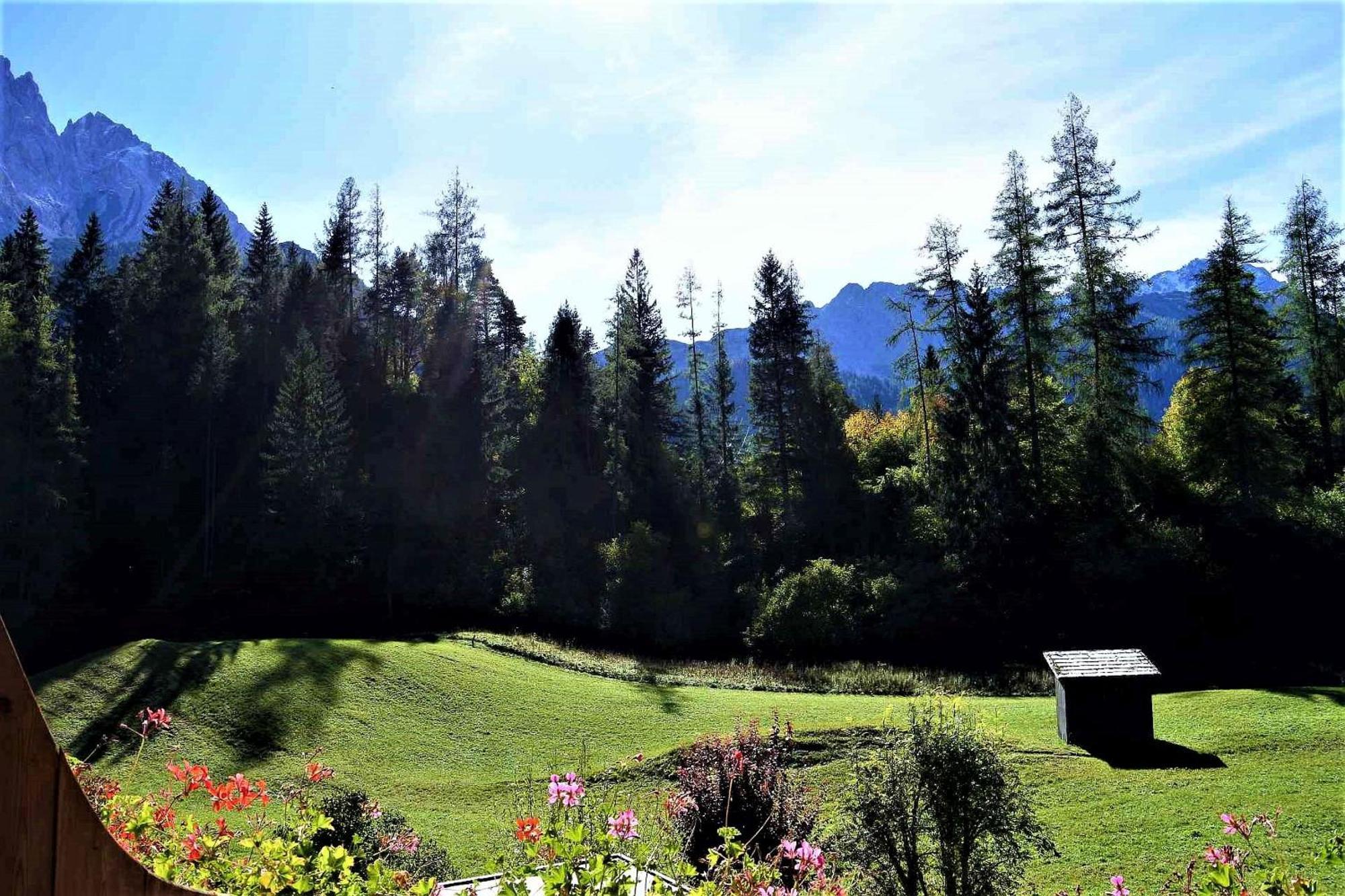 Zirbennest Haus Martha Biberwier